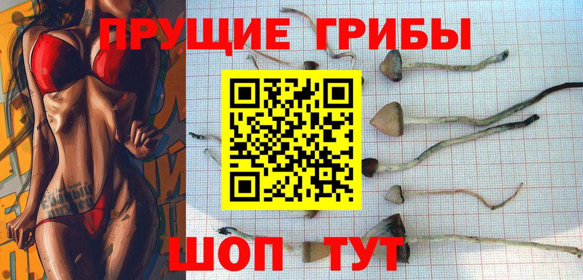 дарнет шоп  Галлюциногенные грибы ЛСД  Вход с VPN  Учалы  Галлюциногенные грибы Magic Shrooms 